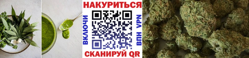 магазин продажи   omg ONION  Cannafood марихуана  Суворов 