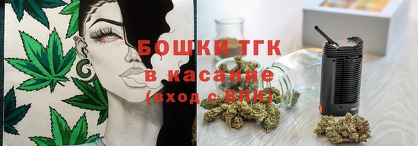сатива Армянск