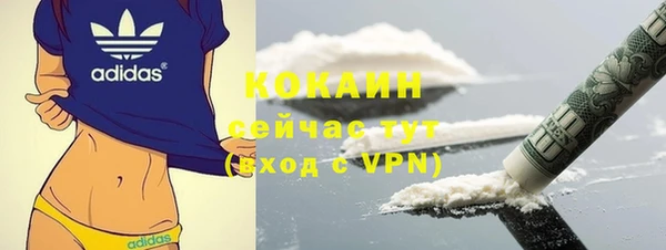 кокс Богородицк