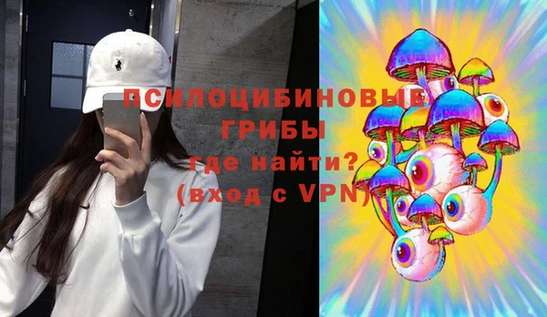 сатива Армянск