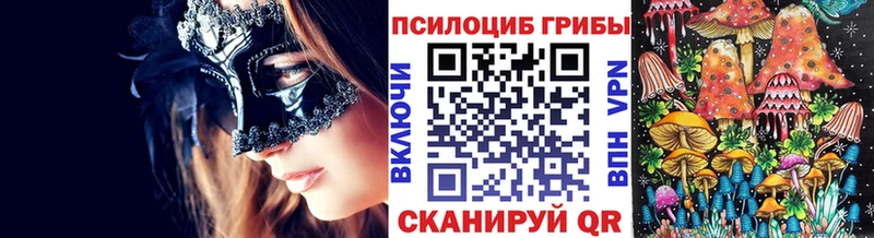 ссылка на мегу зеркало  Суворов  мориарти Telegram  магазин    Псилоцибиновые грибы Magic Shrooms 